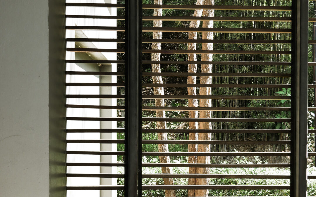 Elevate Your Home with Interior Shutters