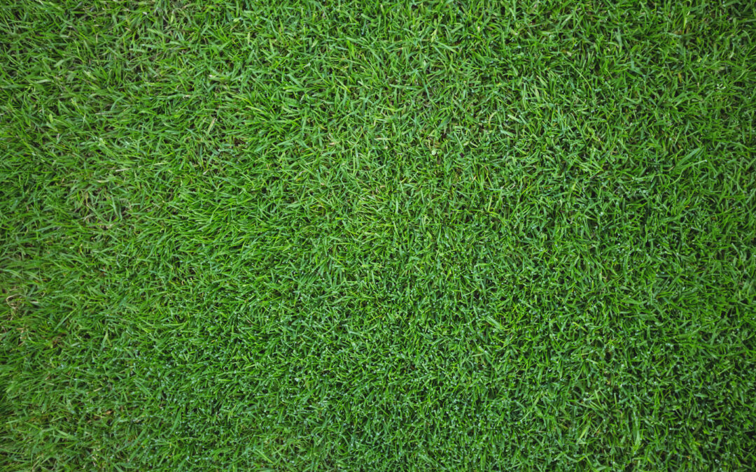Effortless Maintenance for Your Artificial Grass